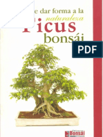 6kp1 Bonsai - El Ficus Bonsai