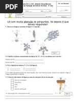 Teste - Plantas Com e Sem Flor_convertido