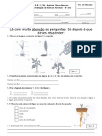 Teste - Plantas Com e Sem Flor