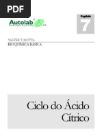 Cap.07-Ciclo ácido citrico