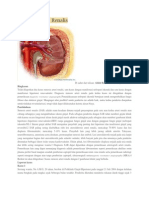 Stenosis Arteri Renalis