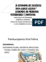 PANLEUCOPENIA FELINA.pptx
