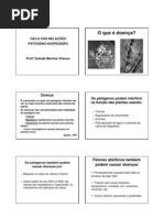 CICLO DAS RELAÇÕES_fito geral