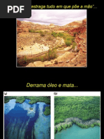 Água e poluição hídrica