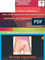 Hernias Inguinales