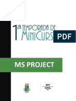 Ms Project