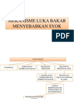 Mekanisme Luka Bakar Menyebabkan Syok