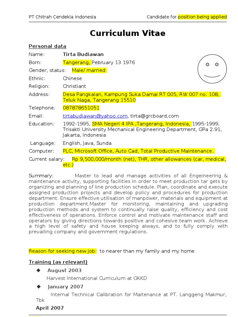 CCi CV Template | PDF | Engineering | Mechanical Engineering