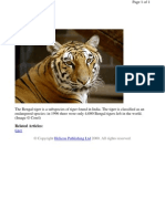 PHRS Tiger Bengal