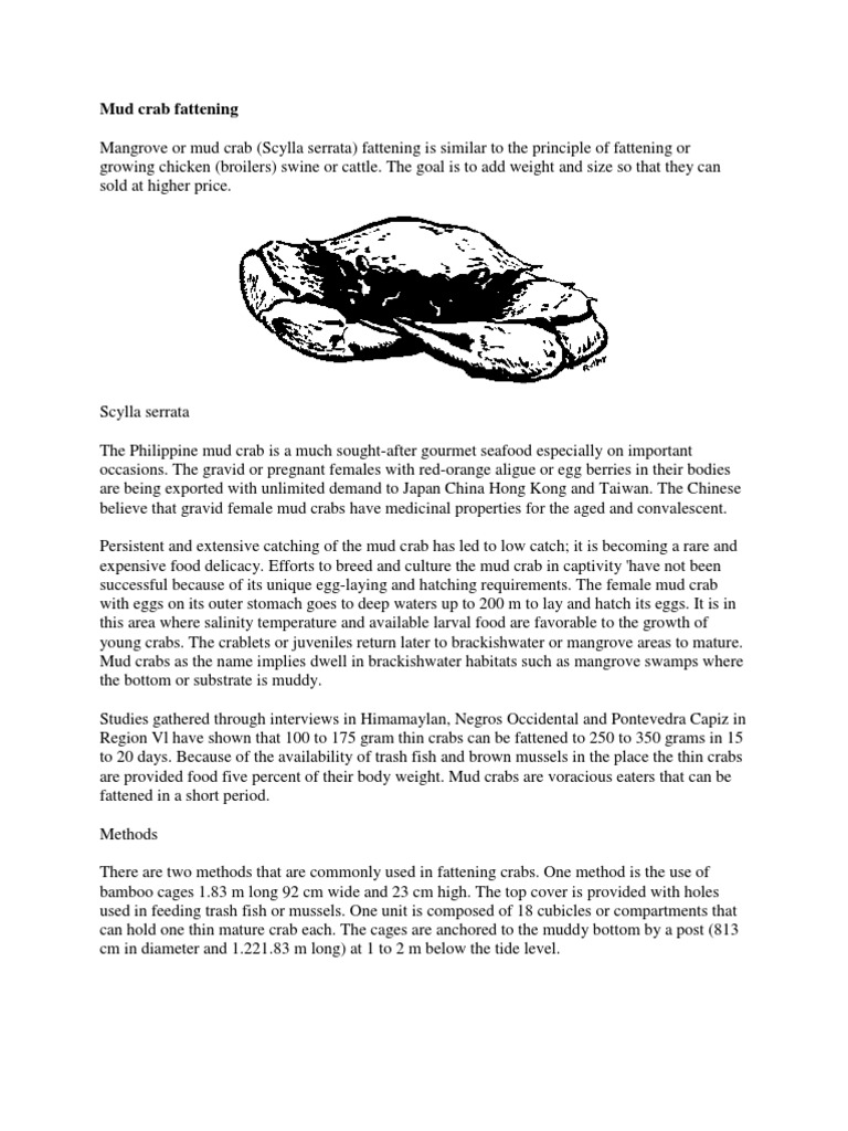 Mud crab fattening method | Crab | Fixed Investment