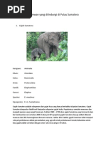 Download 20 Hewan Yang Dilindungi Di Pulau Sumatera by Adryan Eka Vandra SN144168326 doc pdf