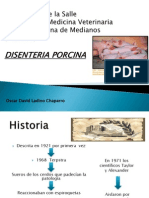 Expo Disenteria Porcina