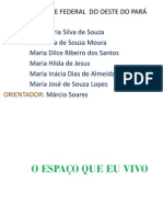 O ESPAÇO QUE EU VIVO .pdf