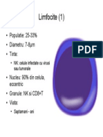 Imunologie Suport Curs Draft V 0 4 24