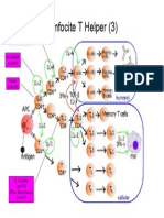 79664150 Imunologie Suport Curs Draft v 0 4 30