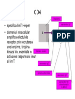 Imunologie Suport Curs Draft V 0 4 56