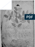 Voynich, manuscrito