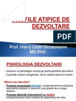 Profile Atipice de Dezvoltare1