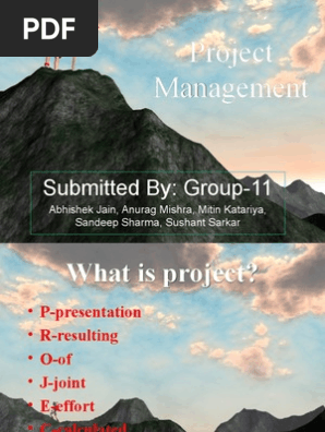 project management