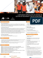 Diplomado Seguridad y Salud Ocupacional Online 2013 Peru