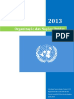 organização das Nações Unidas