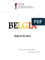 BELGIA-raport de tara
