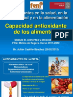 2012-02-28-CapacidadAntioxidanteAlimentos