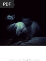 Portfolio Andre Lima