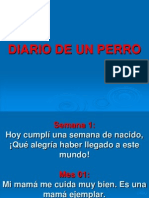 Diario Deun Perro