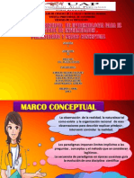 Prevencion Marco Conceptual Se1 - 3er Ciclo Grupo 1