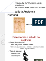 Introdução A Anatomia Humana