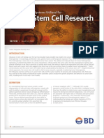 BD-Cancer Stem Cell Research