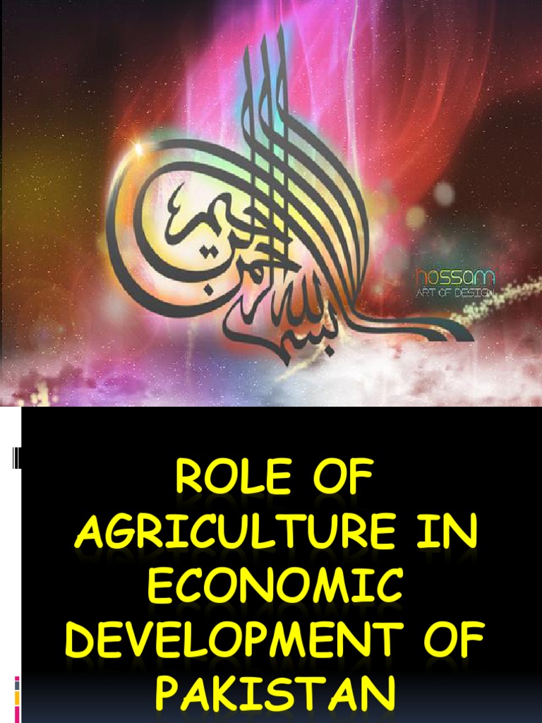 Agriculture's Role in Pakistan's Economy | PDF | Pakistan | Agriculture