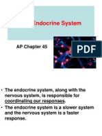 Endocrin System