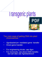 Technique DNA Transfer