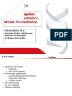 QDot Biolabels Talk From Invitrogen