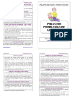 29 Prevenir Problemas Atencion - pdf2