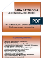 Atlas Para Patologia