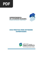 CartillaGuiaPracticaEntidadesSupervisadas2013.pdf