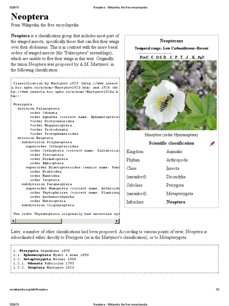 Neoptera From Wikipedia, The Free Encyclopedia PDF Insects Hexapoda