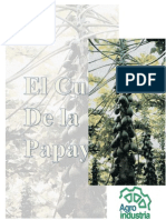 Informe de Pos-cosecha PAPALLA 2013-2