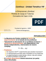 Analisis Dimensional - Perdida Carga - Capa Limite