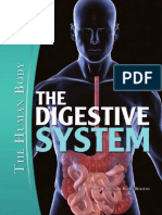 The Digestive System, 2011, PG
