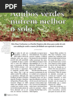 Adubos Verdes Nutrem Melhor o Solo