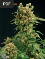 Download Cannabis Grow Tips From SoftSecrets2003-2006 by opethx SN14451484 doc pdf