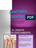 PRESETACIÓN ANATOMÍA DENTAL 2010