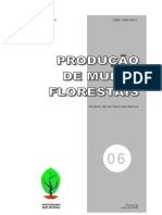 Produção de mudas florestais