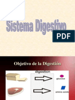 S. Digestivo