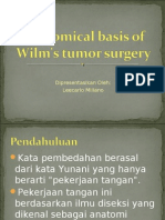 Anatomical Basis of Wilm's Tumor Surgery