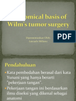 Anatomical Basis of Wilm's Tumor Surgery